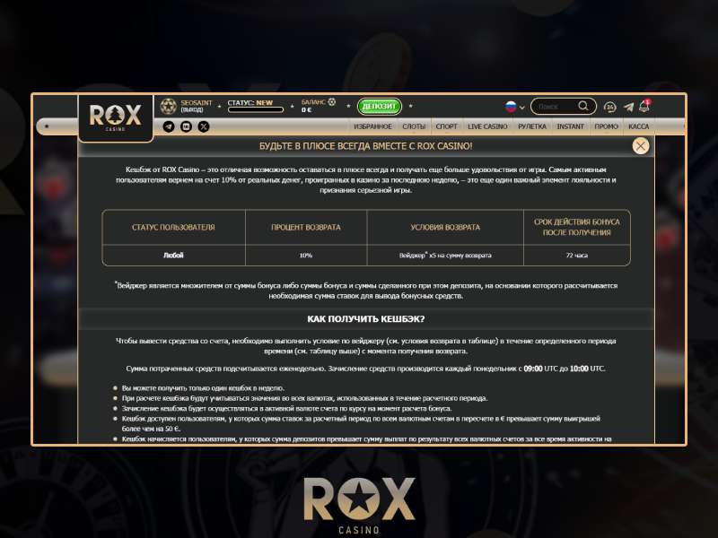 Правила использования бонусов Rox Casino